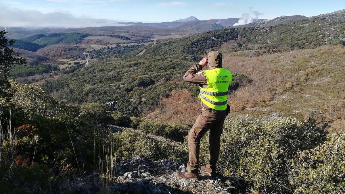 31 De Julio Día Mundial De Los Guardas Forestales Infonoa Salta 5190